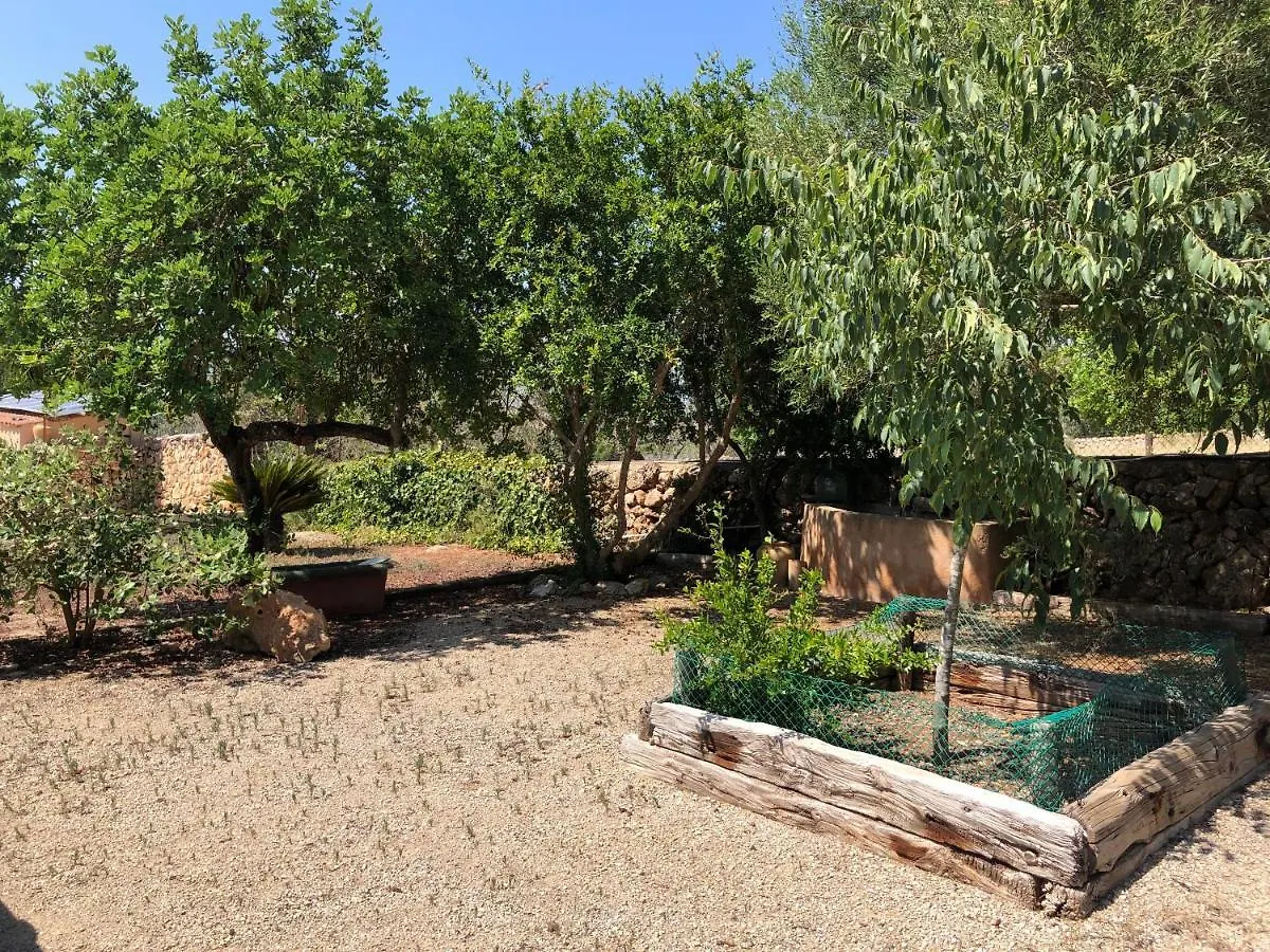 Holiday home Villa Sa Cabanya Llubi Spain