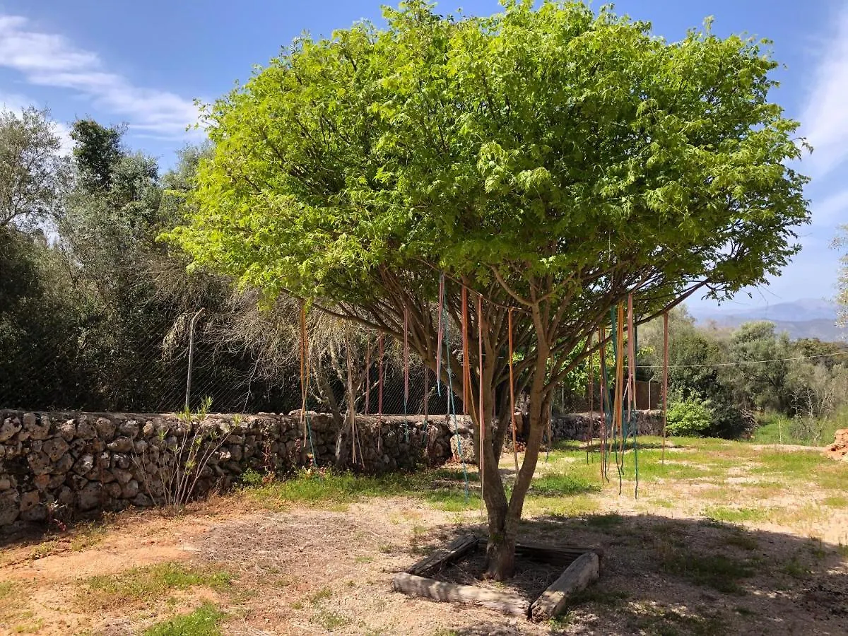 Villa Sa Cabanya Llubi Holiday home