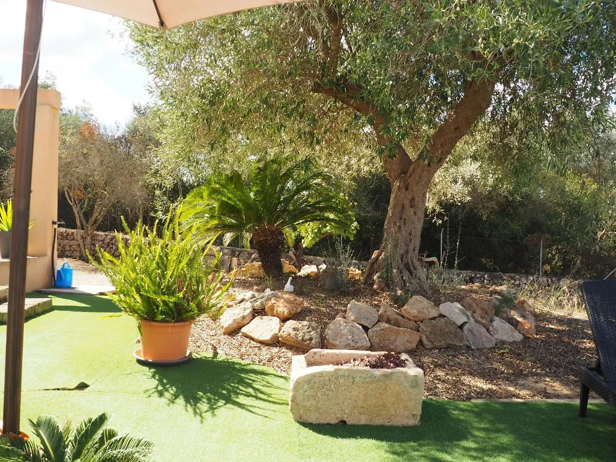 Villa Sa Cabanya Llubi Holiday home