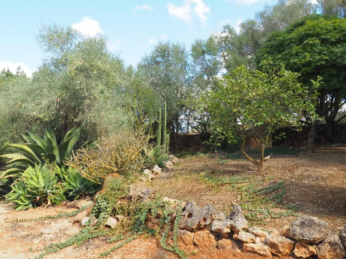 Holiday home Villa Sa Cabanya Llubi Spain