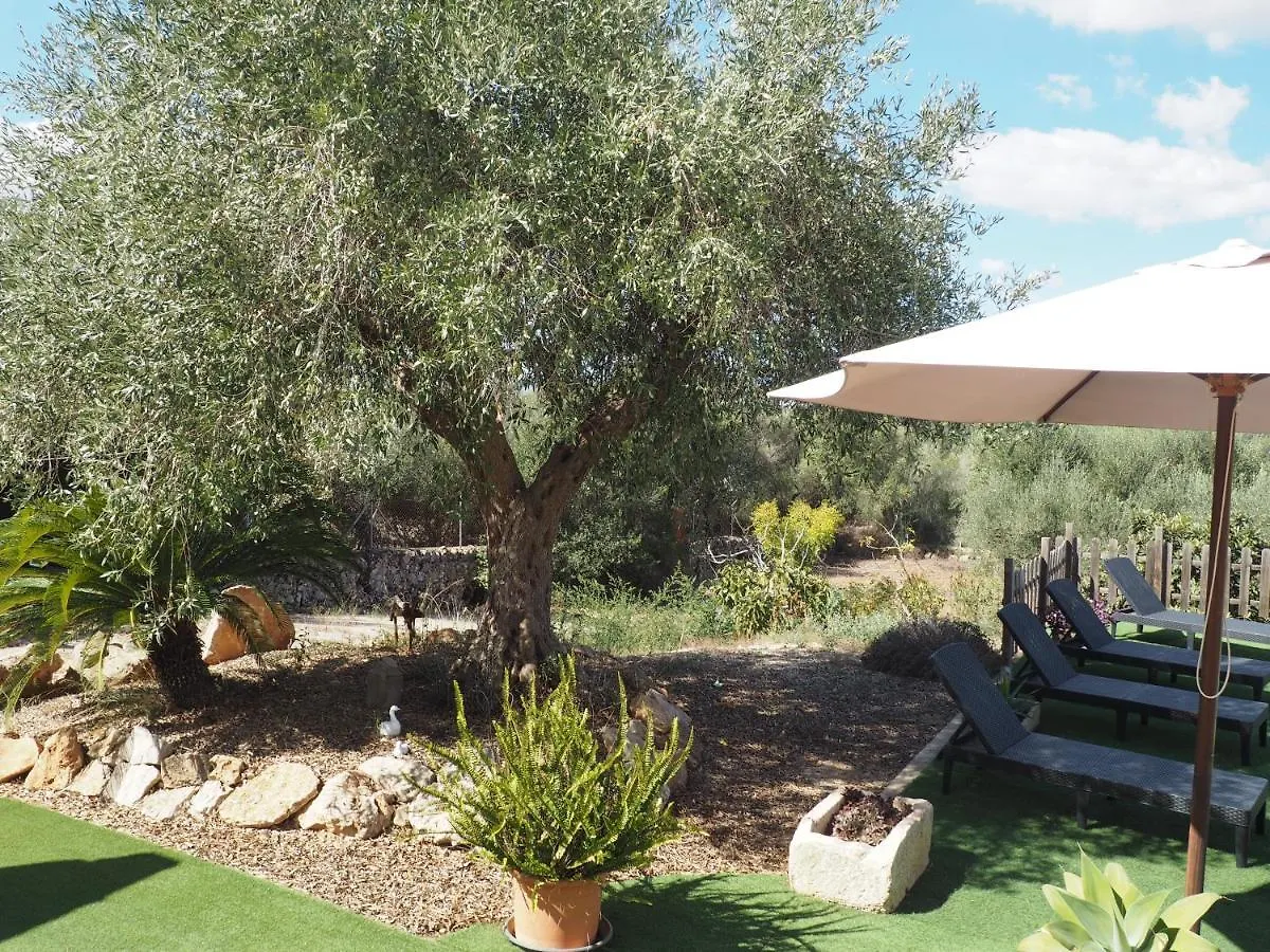 Holiday home Villa Sa Cabanya Llubi