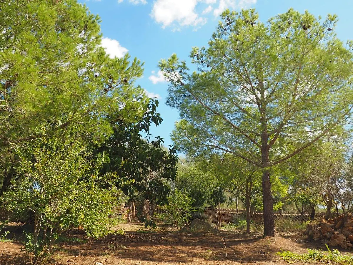 Villa Sa Cabanya Llubí